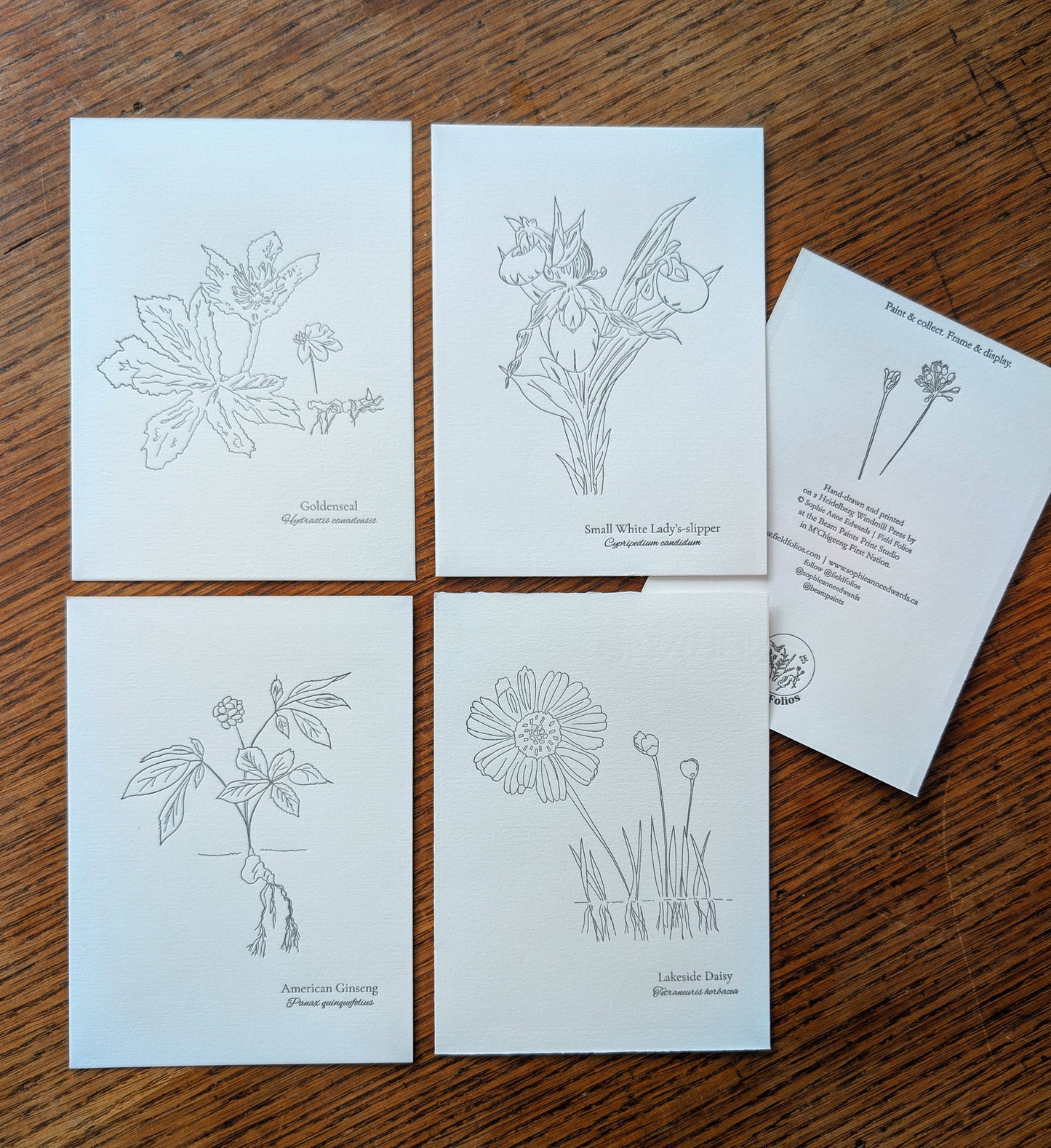 At Risk Species Prints - Set one