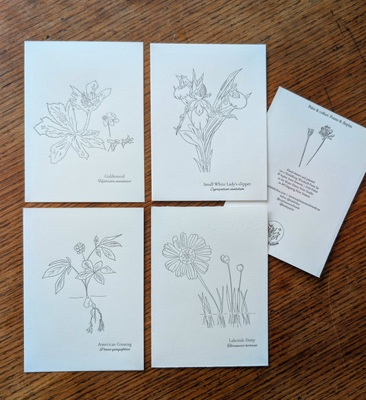 At Risk Species Prints - Set one