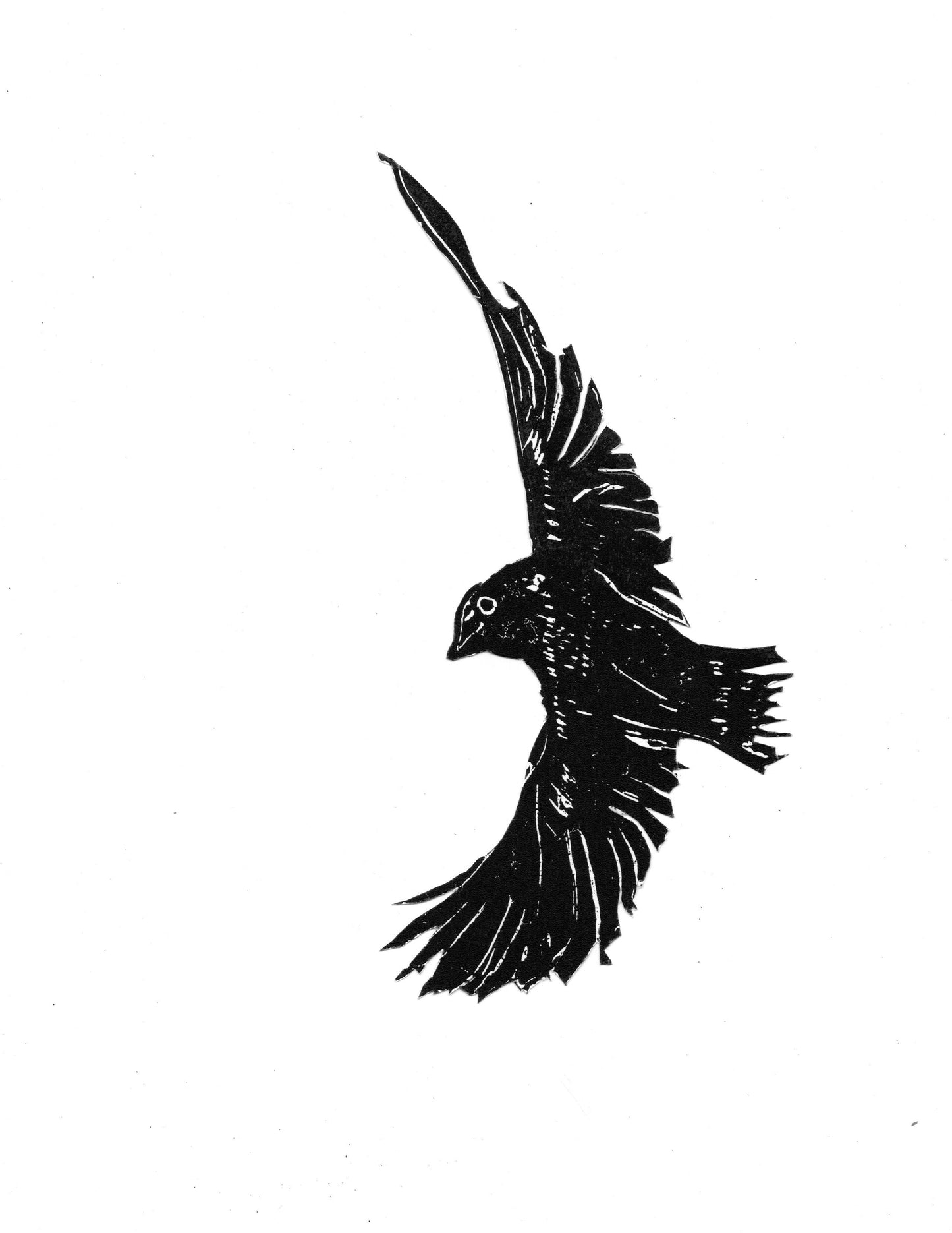 Intro to Relief Printing